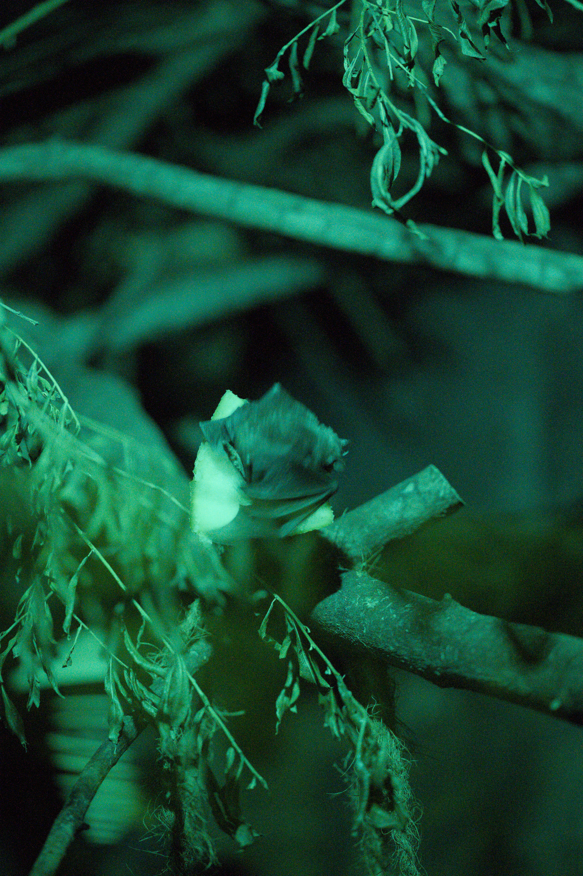 2025/10/12 - zoo/DSC_0278.jpg